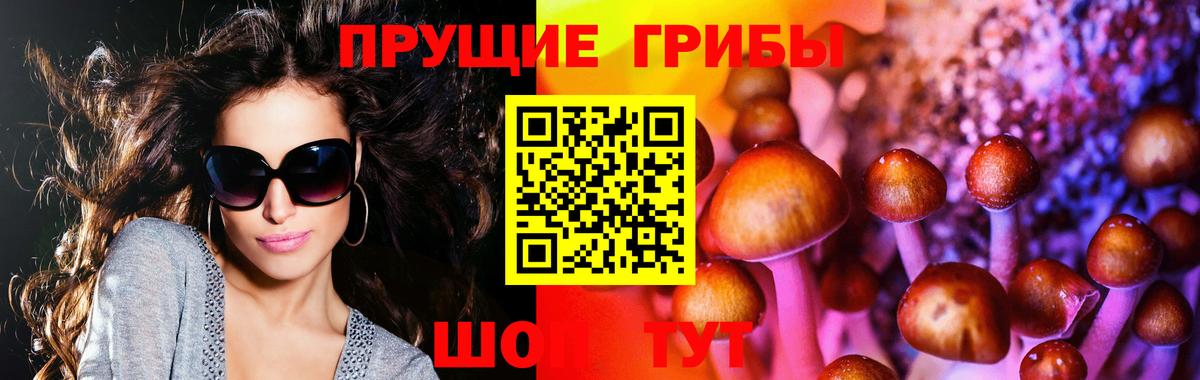 Псилоцибиновые грибы MAGIC MUSHROOMS  Псилоцибиновые грибы прущие грибы  Вход с VPN  Грязи 