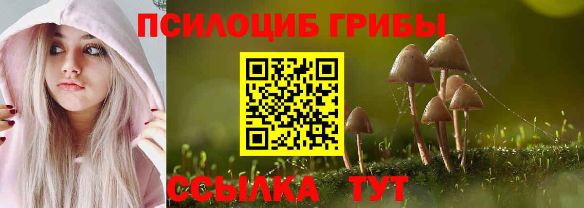 Псилоцибиновые грибы прущие грибы Грязи